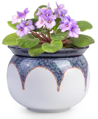 African Violet Pots, 6 inch Ceramic Easy Self Watering Plant Pot for Busy Plant Lovers, Automatically Absorb Appropriate Amount of Water, Flower Pot Indoor-Plants Not Included(Red)