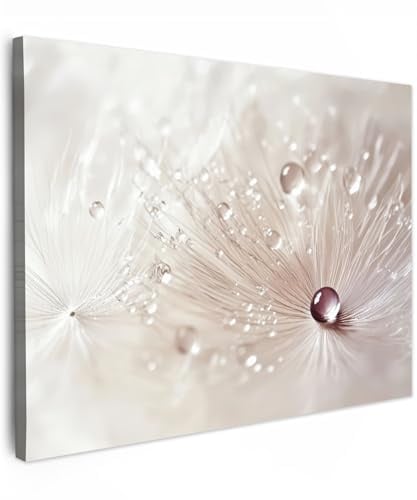MuchoWow© Bilder Wohnzimmer Deko Modern Wandbild Kunstdruck auf Leinwand | 70x50 cm - Bild Schlafzimmer über Bett Room Decor Geschenke Blume - Abstrakt - Weiß - Wasser - Natur