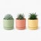 TECHZOCO Macetas para Cactus de plástico, Mini Maceteros Pequeños para platas, Macetas Decorativas, No Incluyen Las platas, Incluye Plato Integrado, 10.5 cm diámetro x 9.2 cm Alto, Pack 3 Unidades