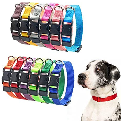Hundehalsband Welpen-Identifikations-Halsband verstellbar Nylon Hunde Halsband für kleine Hunde und Katzen, 12 Stück