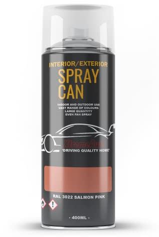 Xtremeauto Spray Paint Finish For Indoor And Outdoor Use Garden Cars Home Kitchen Bathroom Furniture Art Craft Bikes Radiators Metal Wood Plastic Glass UPVC Stone PVC RAL 3022 Salmon pink