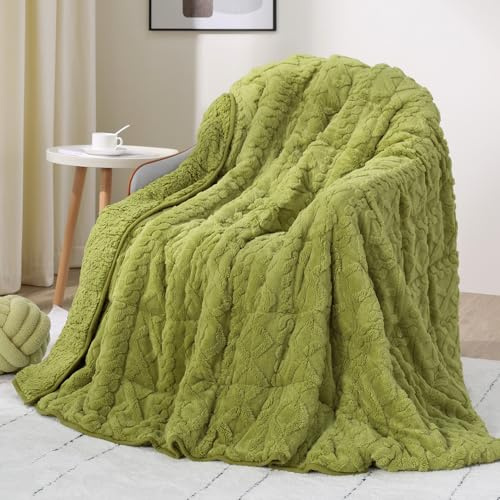 Drewin Gewichtete Decke, Queen-Size-Größe, 6,8 kg, doppelseitig, weich, flauschig, Jacquard-Sherpa-Decke mit Keramikperlen, ultra-flauschige und dicke Wintergewichtsdecke, 152,4 x 203,2 cm, Grasgrün