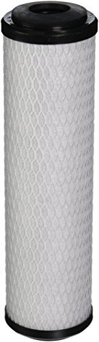 Pentek PENTEK-C8 Carbon-Wasser-Filter - 1 Micron