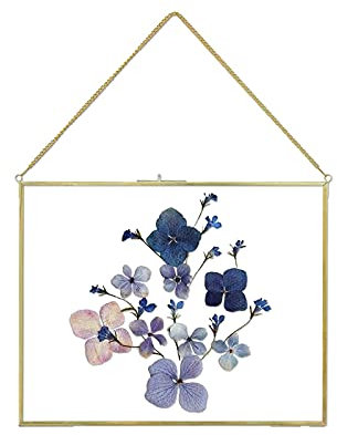 Jajamy Cadre en verre pour fleur de presse, cadre photo en laiton pour bricolage, fleurs séchées, plantes, décoration murale, spécimen doré, cadre géométrique vintage 28 x 35 cm