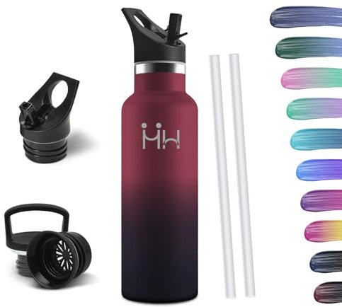HoneyHolly Bouteille Isotherme 500ml, Gourde INOX avec Paille, Bouteille d'eau sans BPA, Réutilisable, Anti-Fuite, Isolation sous Vide en Acier Inoxydable à Double Paroi, pour Enfants, Adultes, Sport