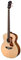 Guild B-240E · Akustikbass