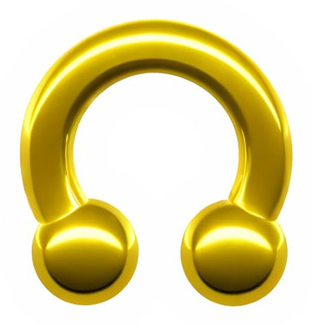 HUFEISEN XXL Piercing Groß Dick & Klein 1,2mm - 8mm Edelstahl Chirurgenstahl 316L Piercingring Horse-Shoe Septum Nase Intim Brust Lippe Ohr Augenbraue CBR Circular Barbell Ring (8mm x 15mm, Gold)