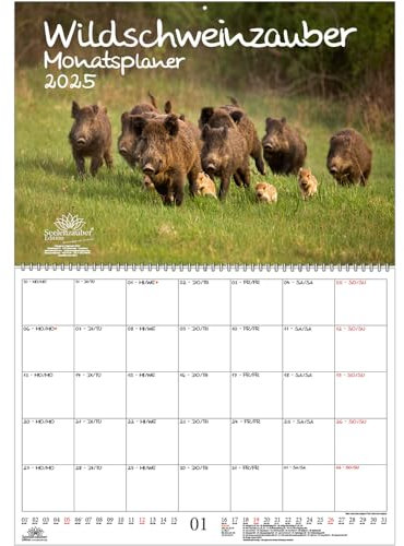 Wildschweinzauber Planer DIN A2 Kalender für 2025 Schweine Schweinchen - Seelenzauber
