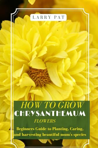 HOW TO GROW CHRYSANTHEMUM FLOWERS: Beginners guide to planting, caring and harvesting beautiful mum's species