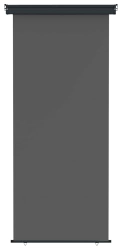 vidaXL Balkon Seitenmarkise 80 x 250 cm 100% Polyester Eisen Stahl