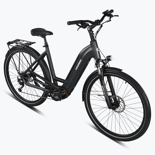 GRUNDIG GCB-1 E-Bike 28 Zoll Elektrofahrrad für Damen und Herren, E-Bike Trekking mit 250W/80N.m BAFANG Mittelmotor und Drehmomentsensor, Shimano 9 Gänge, 36V/15Ah LG Akku bis zu 120KM