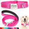 SEOUGEE Personalised Dog Collar and Lead Set with Engraved Metal Buckle, Reflective Nylon Dog Collars and Leash for Medium Dogs with Custom Name Plate Phone Number (Rose Red Set, M:Neck 35-50cm)