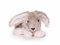 Inware 7604 - Kuscheltier Hase Hasi, 14 cm, liegend