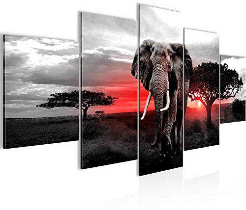 Runa Art Bild Wohnzimmer Schlafzimmer Afrika Elefant 5 Teilig Savanne Grau Rosa Wandbilder auf Vlies Leinwand 001253b