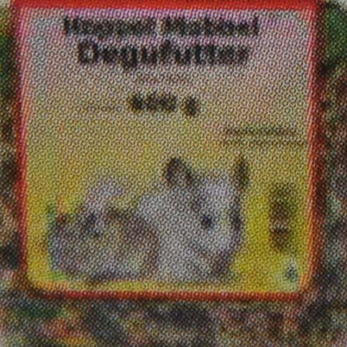 25 kg Degufutter, Spezialfutter für Degus, Nagerfutter