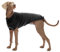 Croci C7074025 Rollkragenpullover, Stoccolma Schwarz, 65 cm