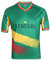 YuanDiann 2022 Katar Fußball Weltmeisterschaft T-Shirt Kurzarm Rundhals Fanshirt Trainingsshirt Stretch Casual Atmungsaktiv Sport Shirt Bedrucken Fussballtrikot Senegal M