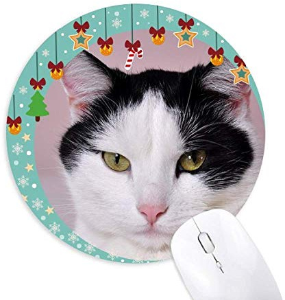 Haustier Katze Tuxedo Billicat Maus Pad Jingling Bell Rund Gummi Mat