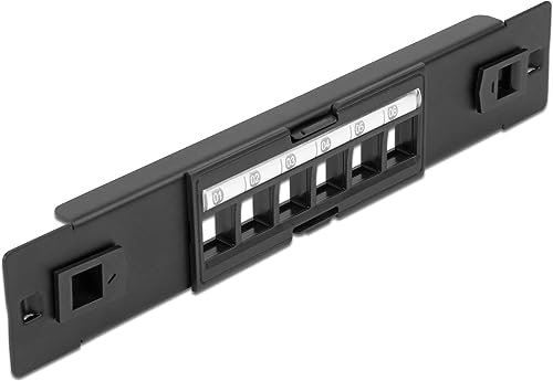 Delock Panneau de Brassage Keystone de 25,5 cm - 6 Ports - sans Outil