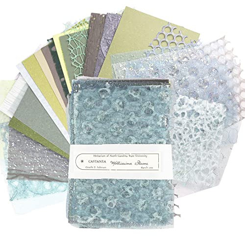 30 Stück Cardstock Papier, Scrapbook Papier, Wandcollage Dekoration, 21 x 14,8 cm, Paper, Glatt, für DIY Scrapbooking, Kartenherstellung, Stanzen und Andere Papierbasteleien (Grün)