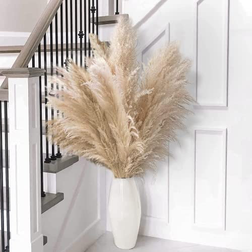 Lot de 14 Tiges de 80 cm - Herbe de la Pampa Séchée - Style Bohème Neutre - Bouquet Moelleux pour Vase de Sol - Décoration Murale et de Table