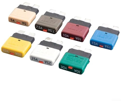 Disjoncteur à lame de fusible automobile réinitialisable 530 A 12 V 24 V marine, réinitialisation automatique, 1 pièce (30 A)