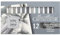 CRETACOLOR Grey Hard Pastels, Graukreiden, 12 Stück, hohe Pigmentierung und Lichtechtheit, vermischbar, mit Wasser vermalbar