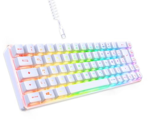 EMPIRE GAMING - Neu 2024 - K208 Kompakte TKL-Kabelgebundene Tastatur (DE-QWERTZ) 69 Tasten RGB - Abnehmbares USB Type C Kabel Plug & Play - PC/PS4/PS5/Spielekonsole - 23 Anti-Ghosting-Tasten (Weiß)