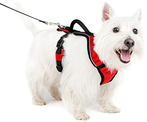 PetSafe EasySport Hundegeschirr, Komplett gepolstert mit elastischem Halsteil, Für Hunde von 9-16,5 kg, Größe S, Rot
