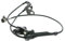 VEMO V70-72-0031 Sensor, Raddrehzahl