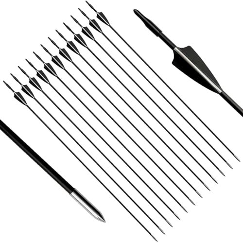 biubiusot 12er Pfeile für Bogenschießen 31 Zoll Bogenpfeile Jagdpfeile Pfeile Übungspfeile Fiberglaspfeile für Anfänger Pfeil und Bogen Zielübung(schwarz)