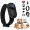 1080P HD Cat Collar Camera Cordless Dog Collar With 170° Wide Angle & 32GB SD Card, Mini Sport Action Pet Camera for Video Records and Photos