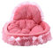 Dawwoti Prinzessin Hundebett Abnehmbar Tierbett Weich Gepolstert Hundebett Hundesofa Korb Lace Princess Bed Design Haustier-Bett