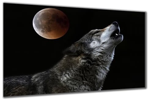 DARO Design - Wand-Bild auf 6mm HDF 40x30 cm Wolf heult - Wand-Deko Bilder Geschenk