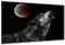 DARO Design - Wand-Bild auf 6mm HDF 40x30 cm Wolf heult - Wand-Deko Bilder Geschenk