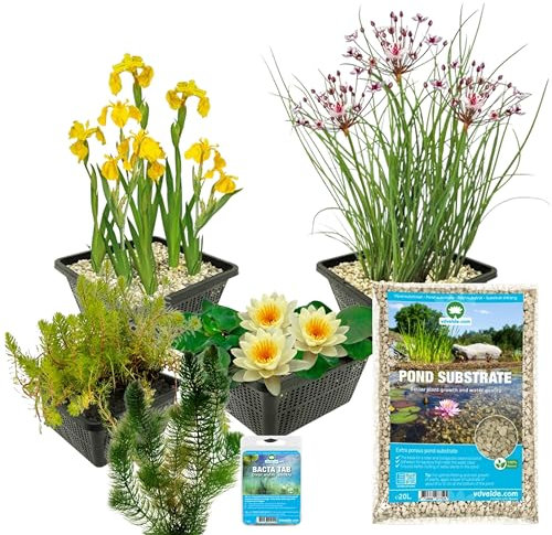 vdvelde.com - Teich Komplettpaket - S - Gelb - 15 pflanzen für 100-400 L - Schafft einen wartungsfreien Teich - Platzierung: -1 bis -100 cm