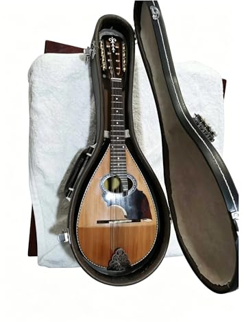 Mandolin Instruments High Grade Bowl Back Mandolin Red Spruce Top Rosewood & Fingerboard Maple Neck Taiwan Tuning Pegs German Strings with Hard Case