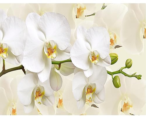 murando - Vlies Fototapete Blumen Orchidee 300x210 cm - Foto Tapete Schlafzimmer Wohnzimmer Moderne Vliestapete XXL Wandtapete Motivtapeten Bildtapete 3d Effekt Wand Dekoration - Natur b-B-0337-a-a