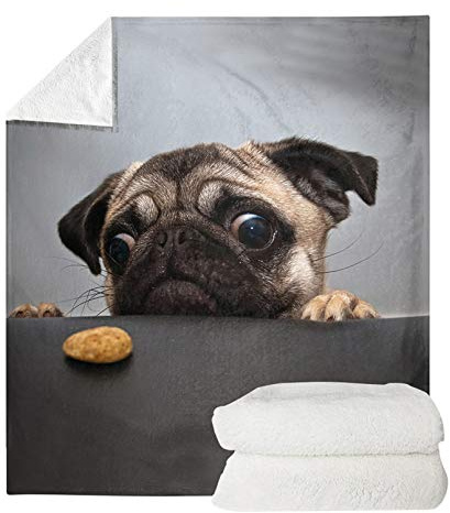 Pizding PlüschSherpaDecke, weich, warm, flauschig, niedlicher Mops, HundeDruck, Decken für Couch, Sofa, Bett, Liege, wendbar, gemütlich, MikrofaserDecke, Geschenk für Damen, Herren, Kinder, 89,9