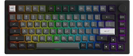 Akko Mechanical Keyboard 5075B Plus 75% RGB Hot Swappable Keyboard with Knob, Black and Silver Theme with PBT Double Shot ASA Profile Keycaps V3 Silver Pro Switch