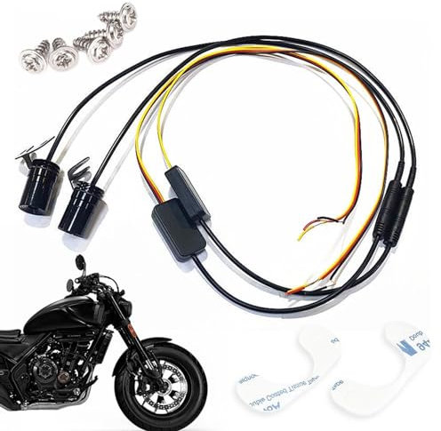 Motorcycle LED Projector Lights, Motorcycle Tail Lights, Motorcycle Brake Lights Waterproof LED Eagle Eye LED Lights, Welcome Door Carpet Projection Lamp, Courtesy Light, Wing LED Carpet Underglow