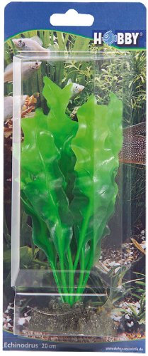 Hobby Aquaristik Echinodrus I 20 cm I Naturgetreue künstliche Aquarienpflanze I Keine Beeinflussung der Wasserqualität I Pflegeleicht