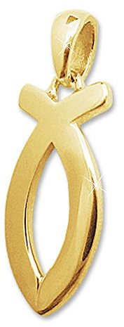 CLEVER SCHMUCK Goldener Damen Anhänger Ichtys 17 mm Jesus Fisch Symbol glänzend 333 GOLD 8 KARAT im Etui sand
