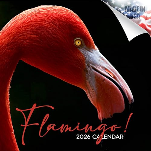 Calendrier mural mensuel 2024-2025 avec flamant rose – 30,5 x 61 cm ouvert – Papier épais sans bavure – Cadeau – Calendrier de planification et planification des enseignants