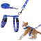 Katzengeschirr und Leine, Set, goldfarben, weiches Nylon, ausbruchsicher, verstellbar für Kätzchen, kleine Tiere, leuchtet im Dunkeln (blau)