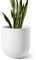 LE TAUCI 25 cm Vaso per Piante, Vaso in Ceramica per Piante da Interno, Vasi per Piante per Casa, Giardino, Patio Ufficio, Vaso per Fiori da Esterno con Fori di Drenaggio, Bianco