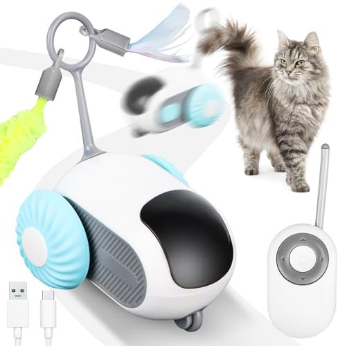 Jognee Ferngesteuertes intelligentes Katzenspielzeug, Interaktives Katzenspielzeug für Wohnungskatzen, Automatisches Schwerkraft-Auto-Spielzeug, Katzen-Maus-Spielzeug, bewegliches Katzenspielzeug