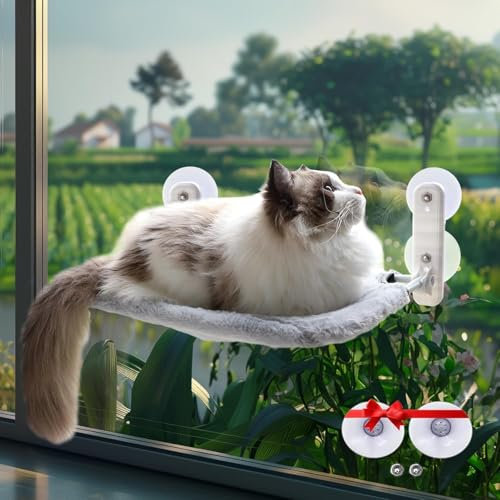 KSALUX - Hamac Chat Fenetre Pliable | Lit pour Chat avec Ventouses Renforcées | Tapis Réversible et Lavable Jusqu'à 18kg | Offert 3 Jouets + 2 ventouses de rechanges (Gris fenetre)