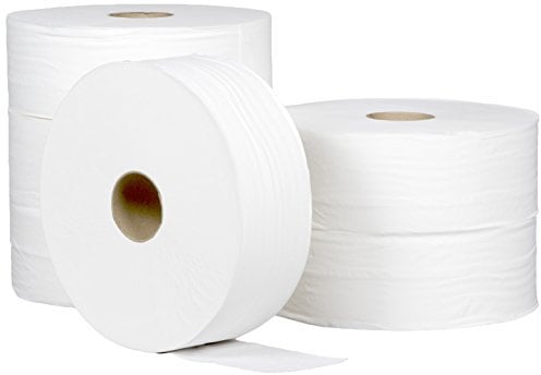 Papier Toilette Hygiénique - Maxi Jumbo | Ecolabel - 350m | Lot de 6