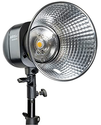 Walimex pro Newcomer 300 II Studioblitz, LED Studiolicht mit Funk, Studiolampe 300 W mit hoher Lichtleistung, Studio Blitz mit Überhitzungsschutz ideal für Fotostudio